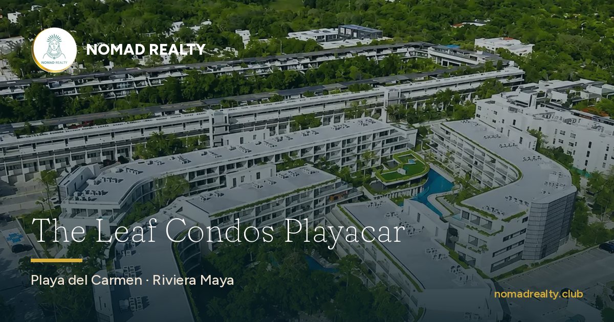 The Leaf Condos Playacar — Nomad Realty